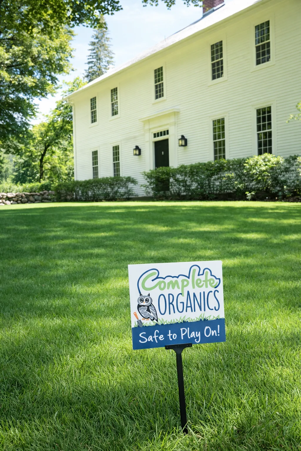 Organic lawn care results